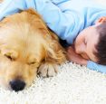 Why Carpets Are Family-Friendly and Ideal For Homes with Kids and Pets